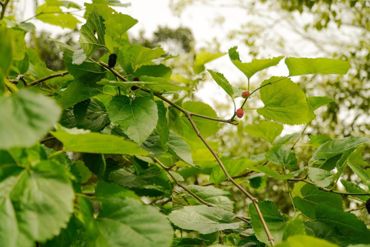 Pousada Dunasol Floripa Florianópolis Екстериор снимка