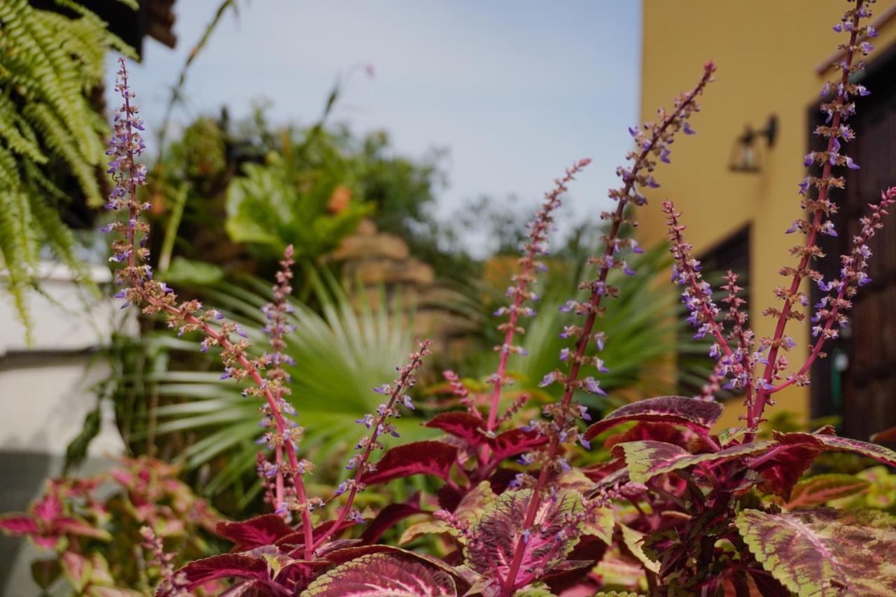 Pousada Dunasol Floripa Florianópolis Екстериор снимка