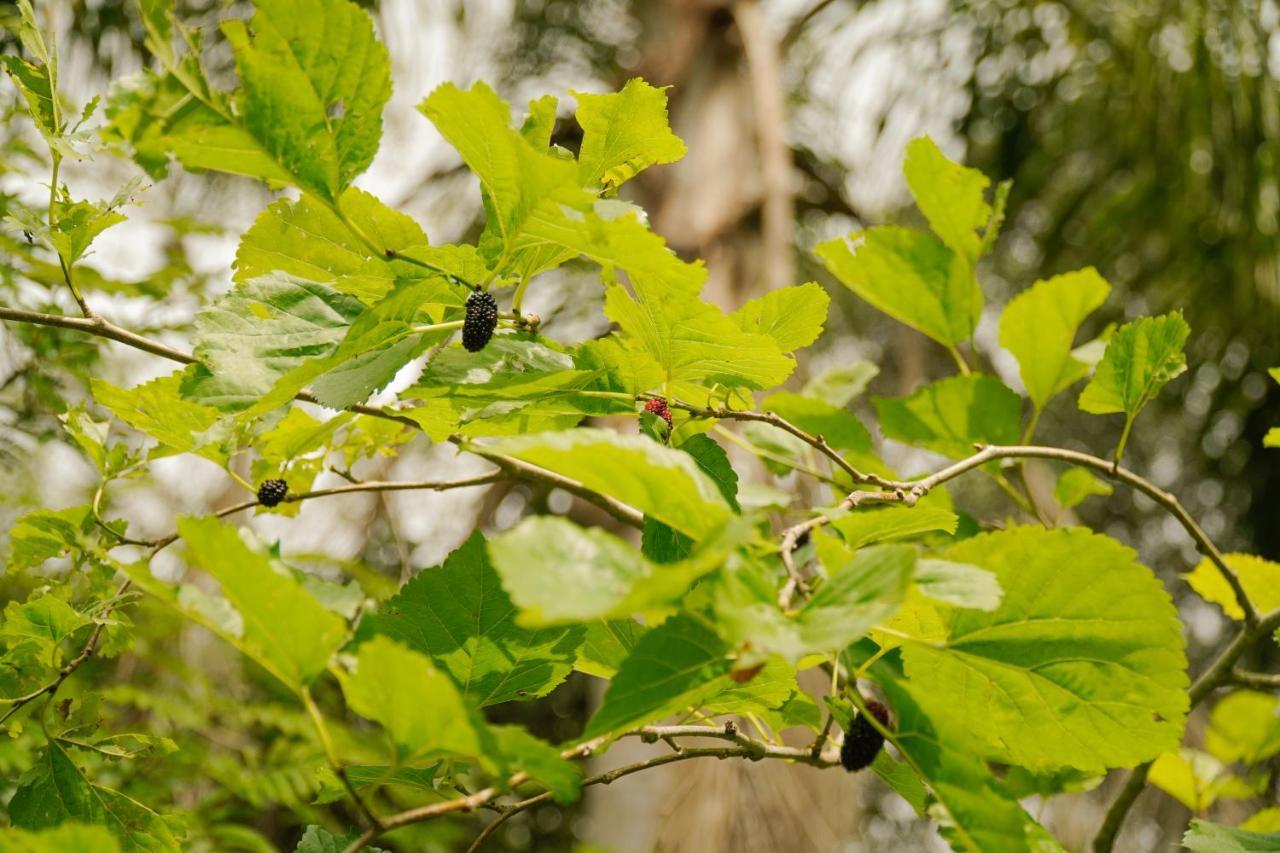 Pousada Dunasol Floripa Florianópolis Екстериор снимка