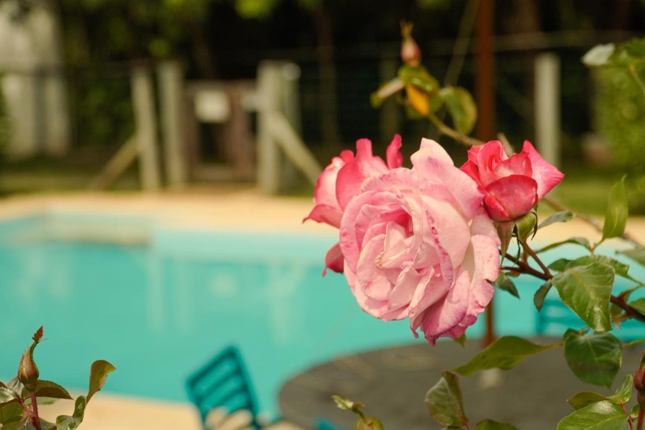 Pousada Dunasol Floripa Florianópolis Екстериор снимка