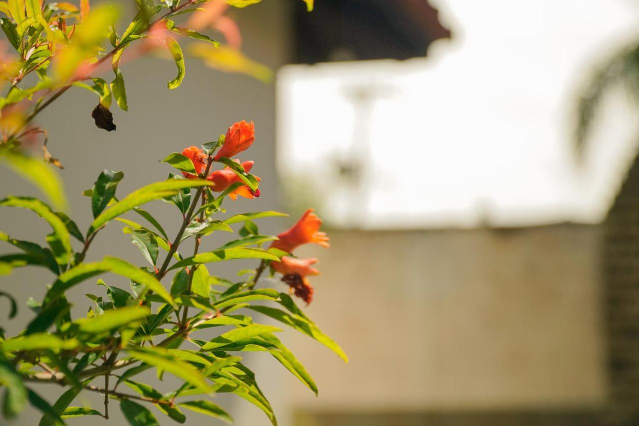Pousada Dunasol Floripa Florianópolis Екстериор снимка