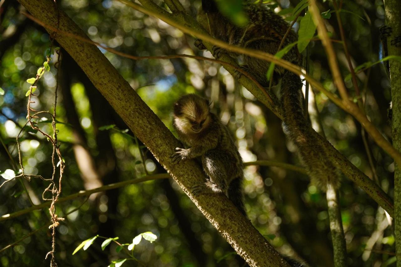 Pousada Dunasol Floripa Florianópolis Екстериор снимка