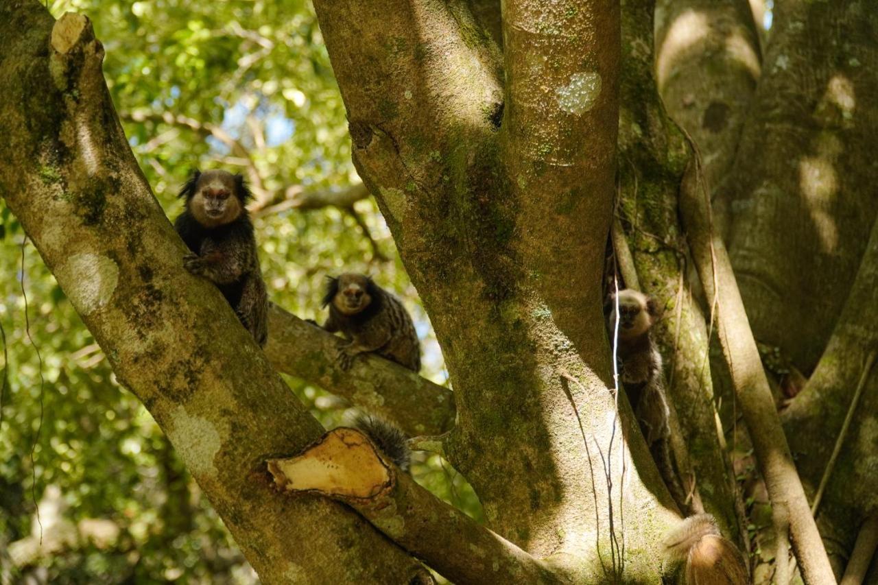 Pousada Dunasol Floripa Florianópolis Екстериор снимка